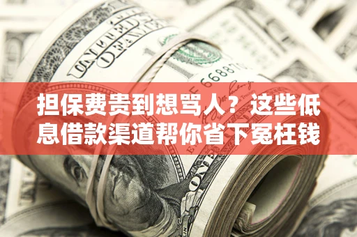 北京担保费贵到想骂人？这些低息借款渠道帮你省下冤枉钱