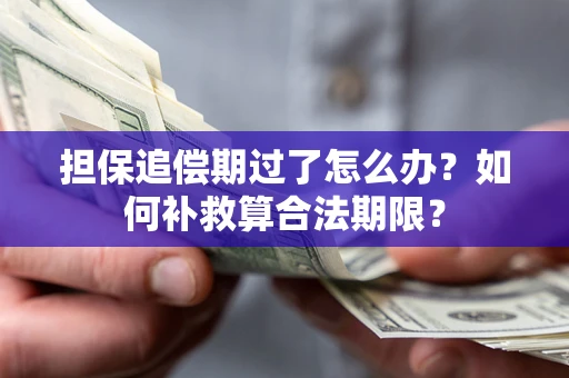 北京担保追偿期过了怎么办？如何补救算合法期限？