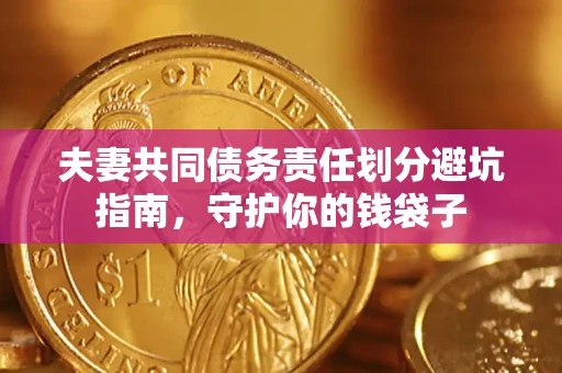 北京夫妻共同债务责任划分避坑指南，守护你的钱袋子